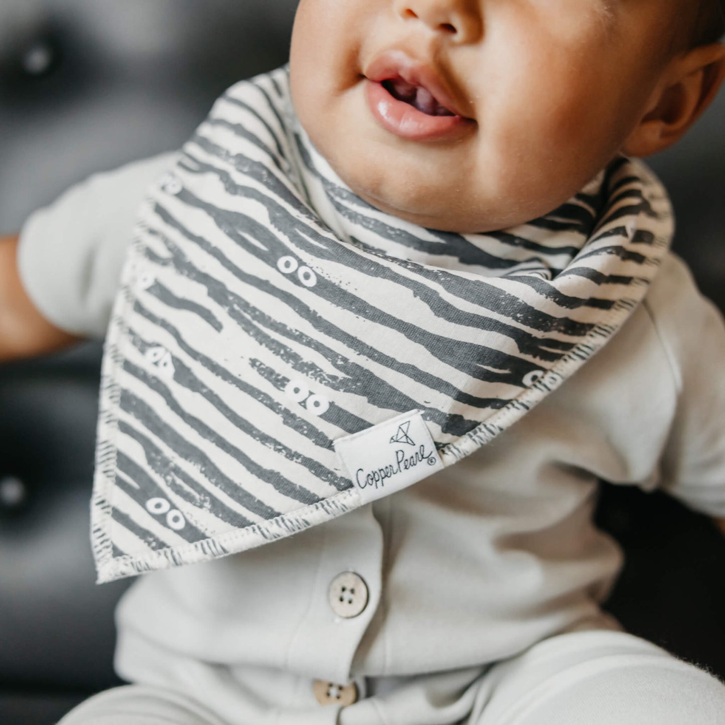 4 Pack Baby Bandana Bibs - Bones