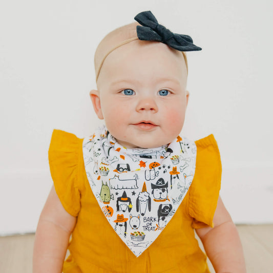 4 Pack Baby Bandana Bibs - Bones